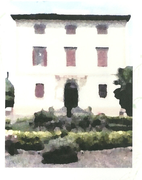 Ritmi nel Verde - XXV edizione